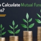 Calculate Mutual Fund Returns