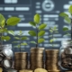 Types of Mutual Fund Schemes and How to Invest in Them